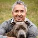 Cesar Millan, The Dog Whisperer